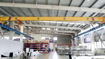 Grúa disponible del uso del taller del dibujo del fabricante de China 1-100ton